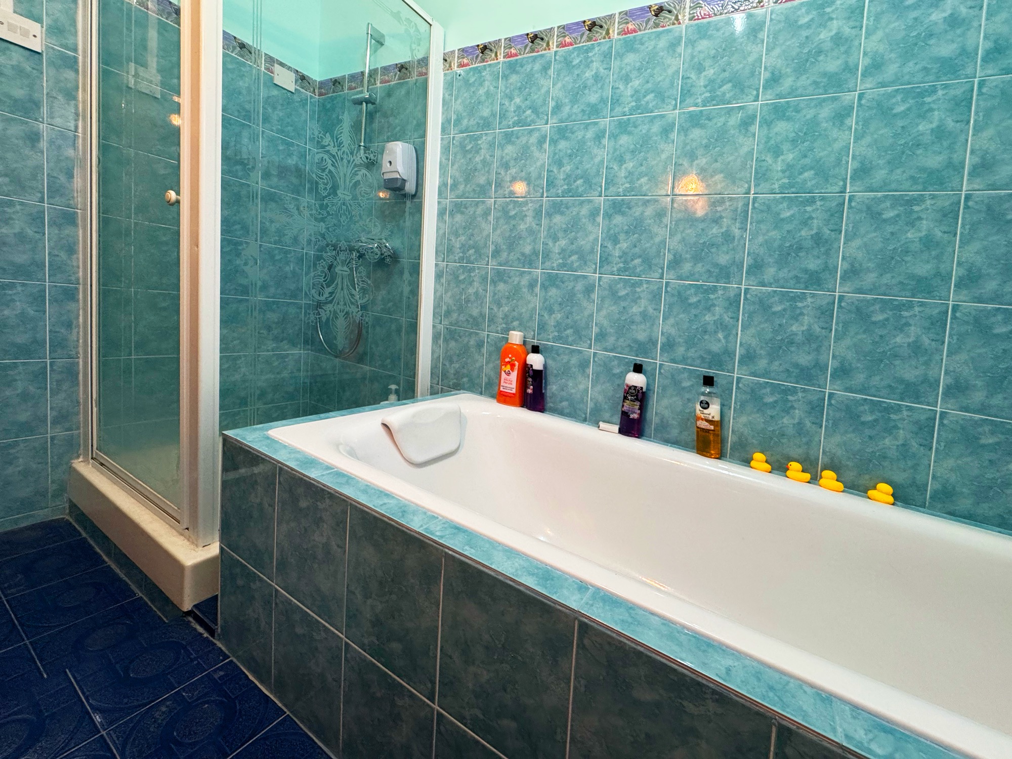 Main bathroom · Bathtub and shower