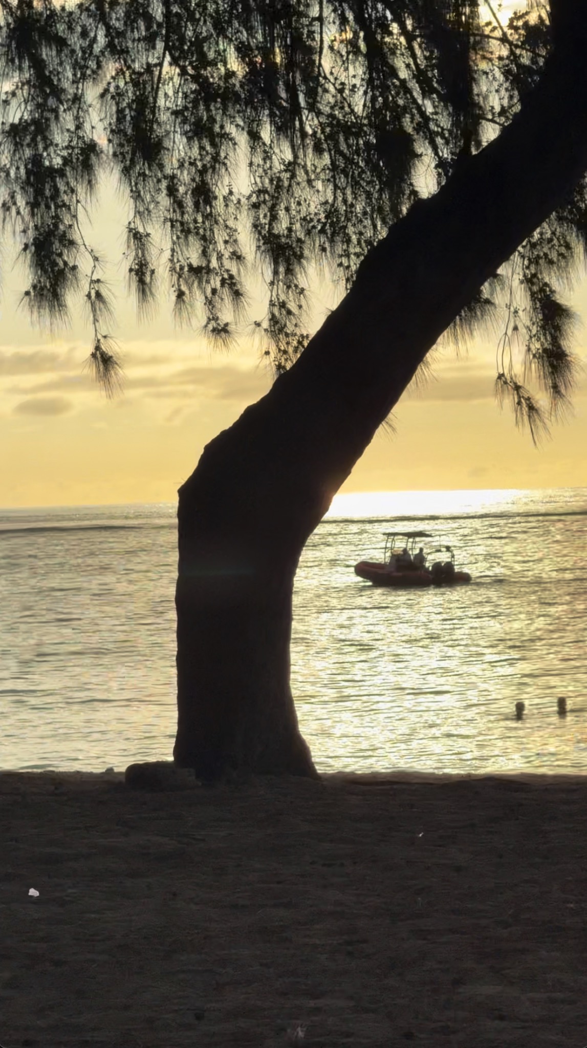 Calm Nest Apartment on video